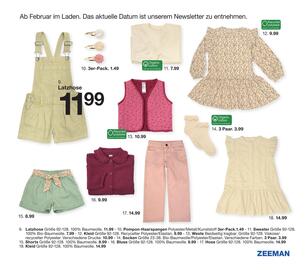 Zeeman Flugblatt Seite 31