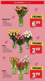 Lidl folder week 7 Pagina 32