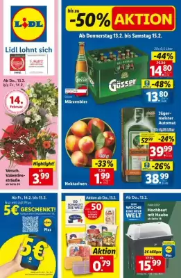 Lidl Flugblatt (gültig bis 19-02)