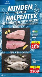 Lidl akciós újság hét 7 Oldal 42