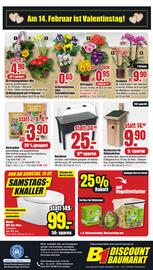 B1 Discount Baumarkt Prospekt woche 6 Seite 6