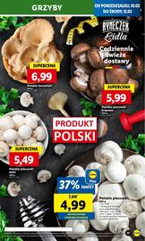 Lidl gazetka Strona 11