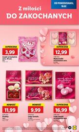 Lidl gazetka Strona 17