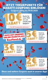 Kaufland Prospekt woche 7 Seite 45