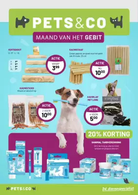 Pets & Co folder (geldig t/m 2-03)