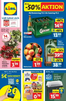 Lidl Flugblatt (gültig bis 19-02)