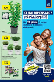 Volantino ALDI settimana 8 Pagina 31