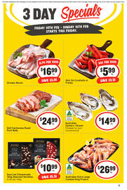 IGA catalogue Page 1