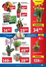 Lidl reklamblad vecka 8 Sida 19