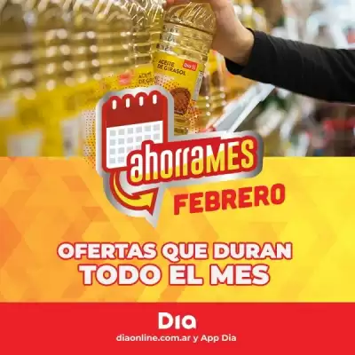 Catálogo Supermercados DIA (válido hasta 20-02)