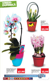 Catalog Kaufland Pagină 7