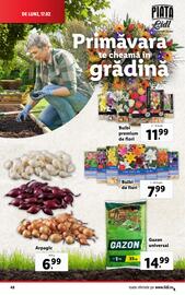 Catalog Lidl săptămâna 8 Pagină 48