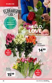 Catalog Lidl săptămâna 8 Pagină 50