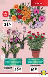 Catalog Lidl săptămâna 8 Pagină 51