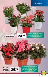 Catalog Lidl săptămâna 8 Pagină 53