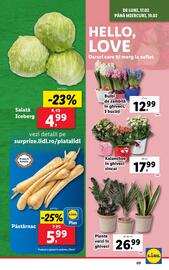 Catalog Lidl săptămâna 8 Pagină 9