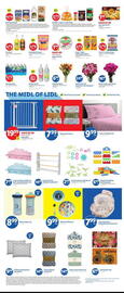 Lidl Weekly Ad week 7 Page 2