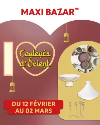 Catalogue Maxi Bazar (valable jusqu'au 2-03)