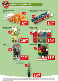 Catalog Auchan Pagină 21