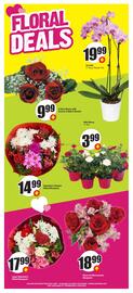 FreshCo flyer week 7 Page 10