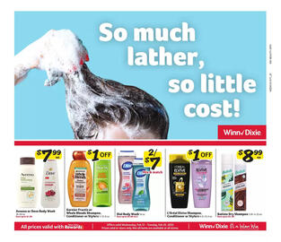 Winn Dixie Weekly Ad Page 1