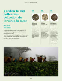 Davids Tea flyer Page 10