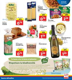 Volantino Lidl settimana 8 Pagina 11