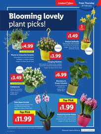 Lidl leaflet week 8 Page 23