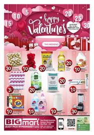 Bigmart catalogue Page 1