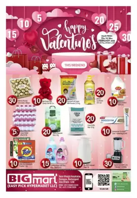 Bigmart catalogue (valid until 16-02)