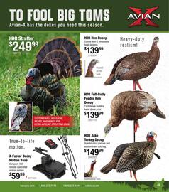 Bass Pro Weekly Ad Page 41