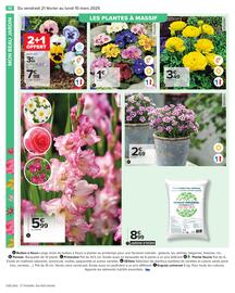 Catalogue Carrefour | Jardin page 12