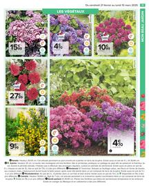 Catalogue Carrefour | Jardin page 13