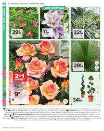 Catalogue Carrefour | Jardin page 14