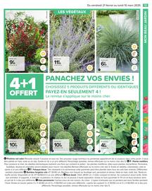 Catalogue Carrefour | Jardin page 15