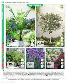 Catalogue Carrefour | Jardin page 16