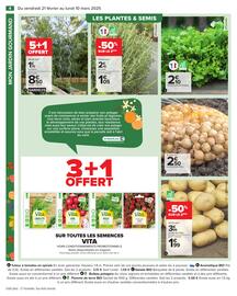 Catalogue Carrefour | Jardin page 6