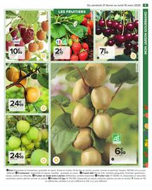 Catalogue Carrefour | Jardin page 7