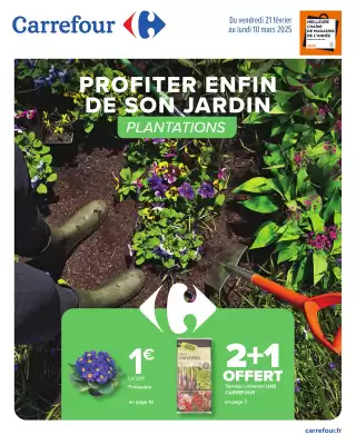 Catalogue Carrefour (valable jusqu'au 10-03)