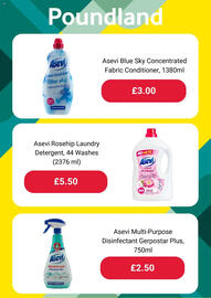 Poundland leaflet Page 2