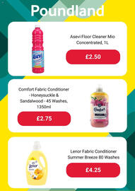 Poundland leaflet Page 3