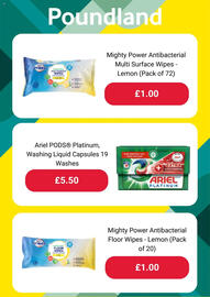 Poundland leaflet Page 5