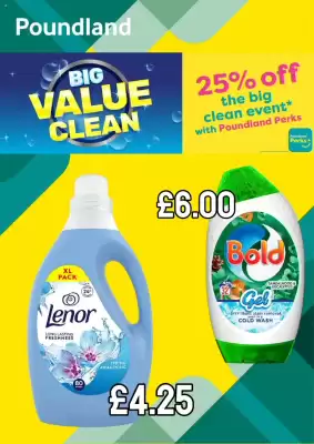 Poundland leaflet (valid until 13-03)