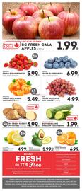 IGA flyer week 7 Page 6