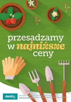 Dealz gazetka (ważność do 25-02)