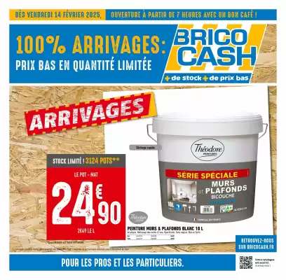 Catalogue Brico Cash (valable jusqu'au 27-02)