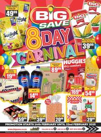 Big Save catalogue Page 1