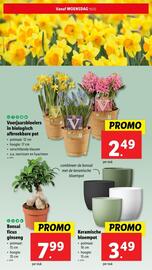 Lidl folder week 8 Pagina 33