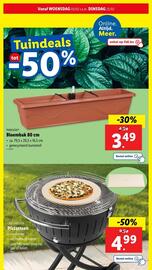 Lidl folder week 8 Pagina 46