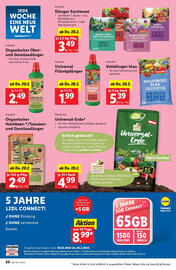 Lidl Flugblatt woche 8 Seite 20